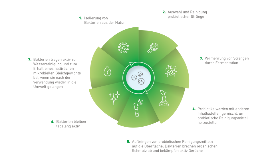 Probiotics diagram