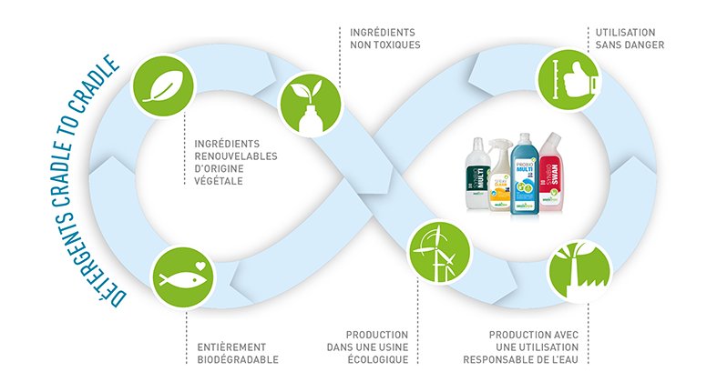 Diagram de Cycle biologique