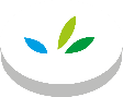 Greenspeed Circle Logo