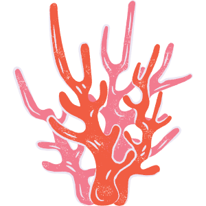 coral