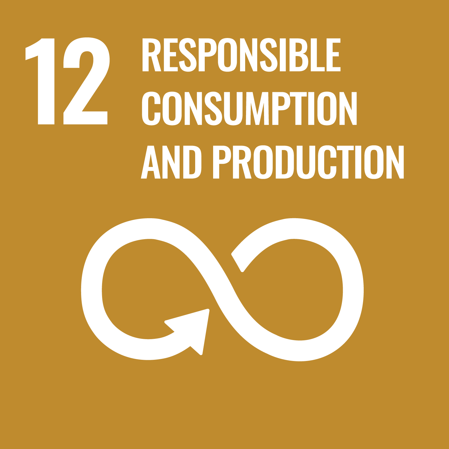 Logo SDG 12 - Responsible products
